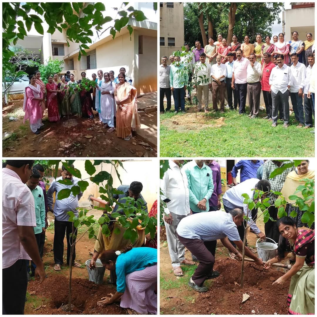 Tree Of Hope - Image 7